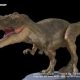 恐竜再生の足がかり　　　　　　　　　　・・・　（ＳＴＡＰ細胞をきっかけに 　昔の記事）